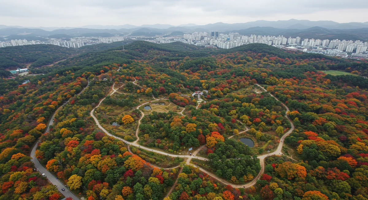 Apsan Park Daegu Hiking Trails Guide