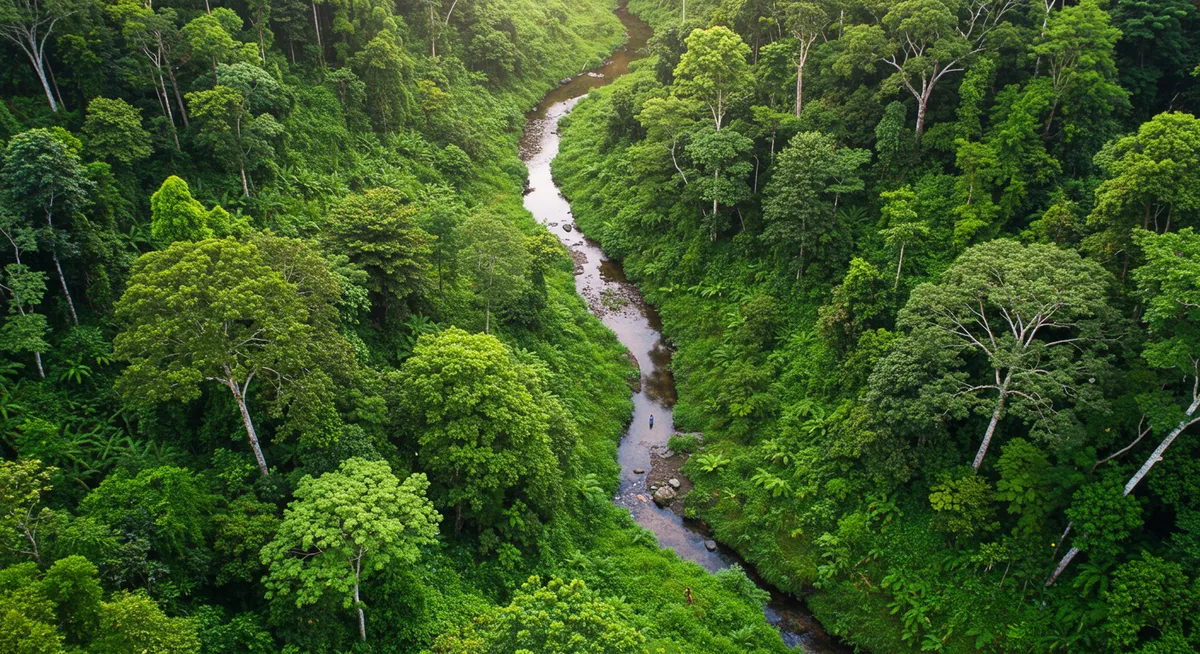 Solo's Best Nature Parks: Top Escapes