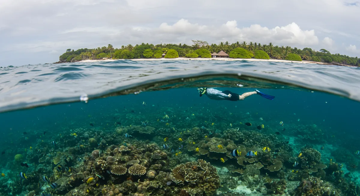Best Snorkeling Spots Gili Trawangan