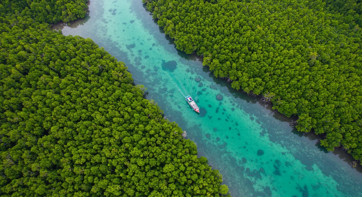 Can Gio Biosphere Reserve Tours: HCMC Guide