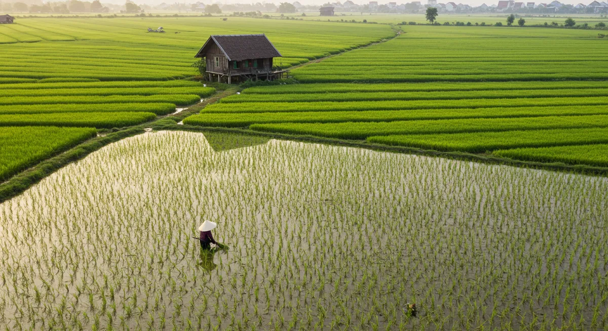 Chau Doc Eco-Tourism Itinerary: 3 Days