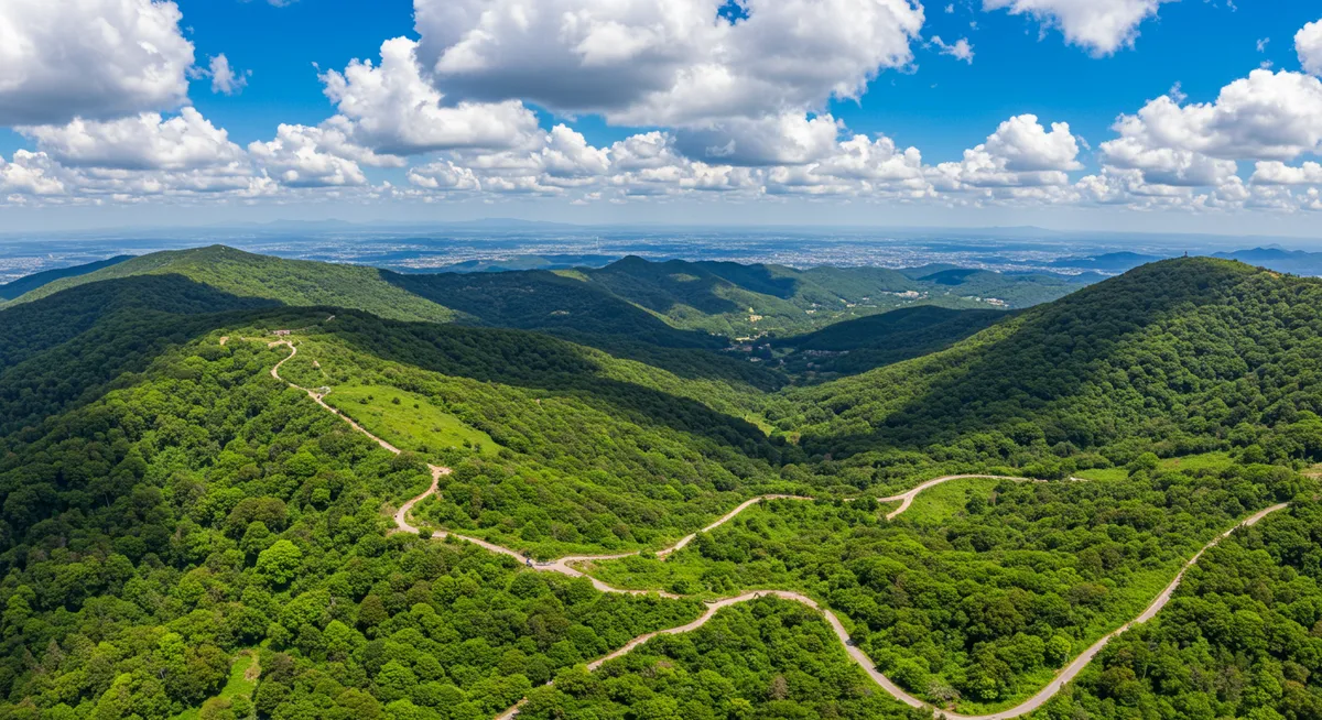 Fukuoka Hiking Trails Guide: Explore Nature