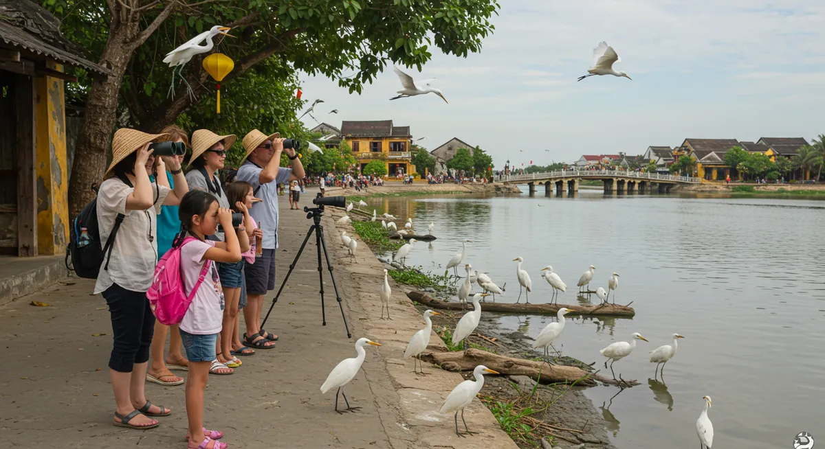 Top Hoi An Bird Watching Spots to Explore