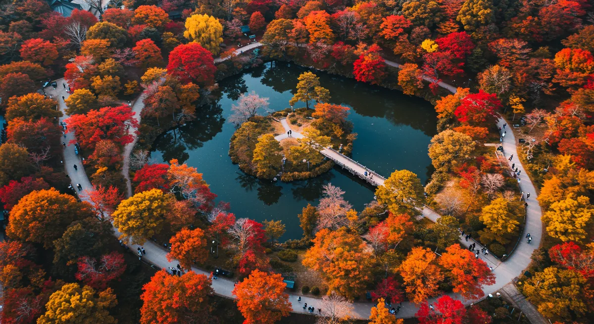 Kyoto Autumn Leaves Nature Viewing 2025: Your Essential Guide