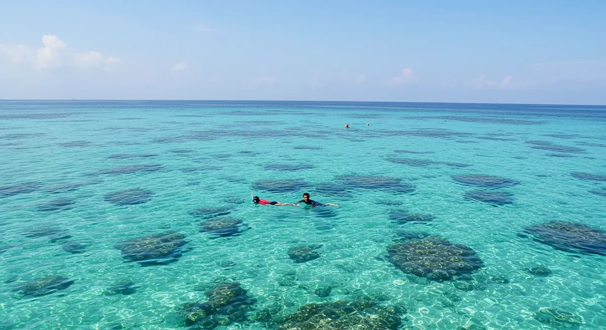 Snorkeling &amp; Diving Spots in Kupang for Beginners